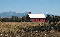 elc_design001007.jpg