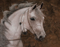 elc_design001019.jpg