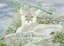elc_design001024.jpg